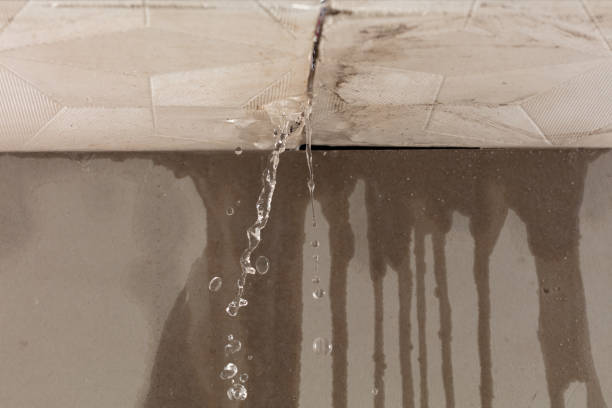 Professional Structural Drying technician working in Troy, MO